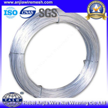 Low Carbon Electro Galvanized Iron Wire with (CE and SGS)